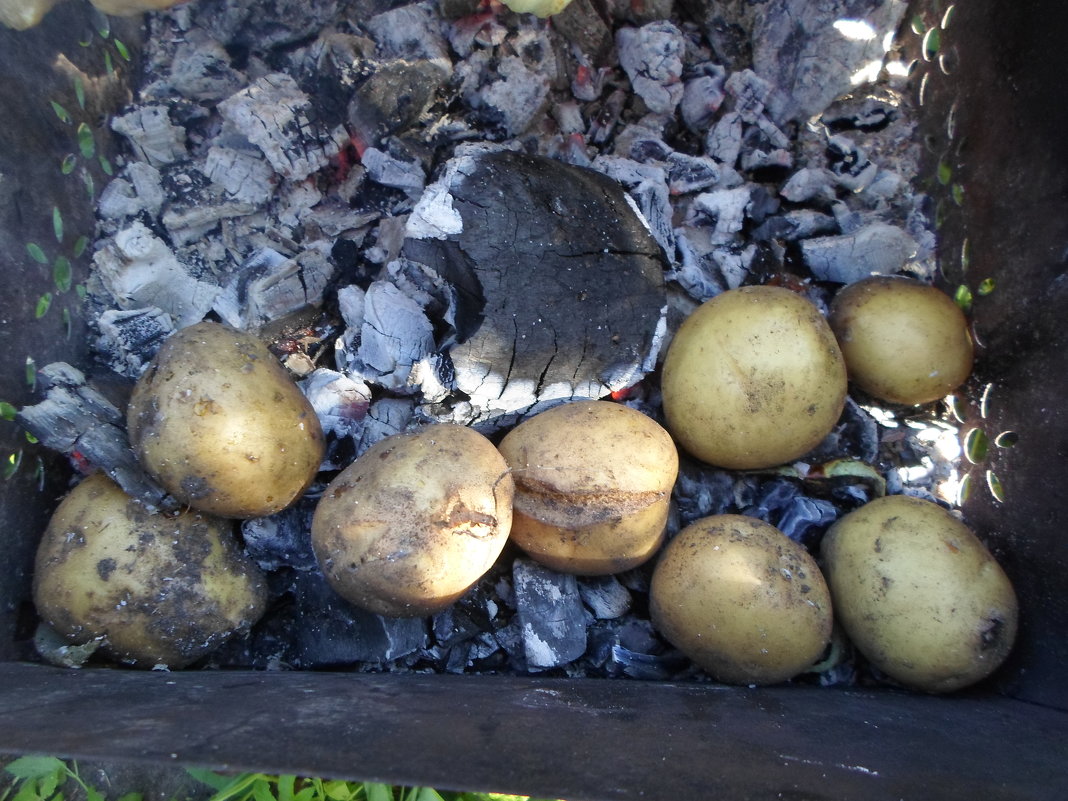 Картошка на углях - BoxerMak Mak