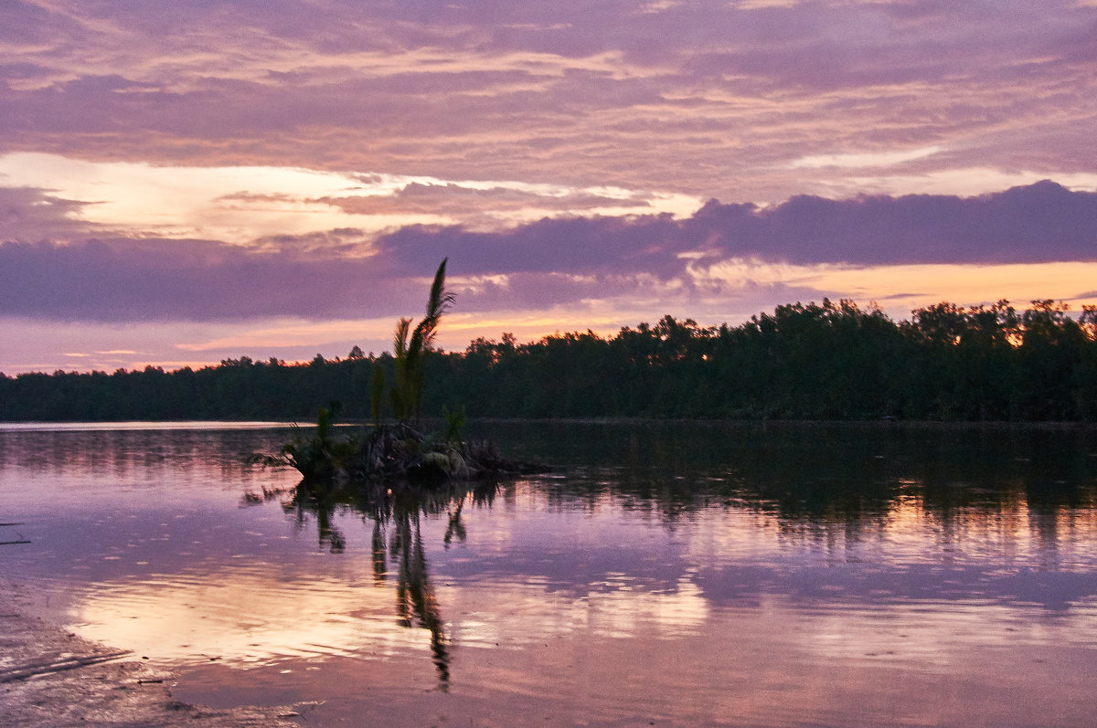 Вечер на реке на Борнео - Андрей Крючков