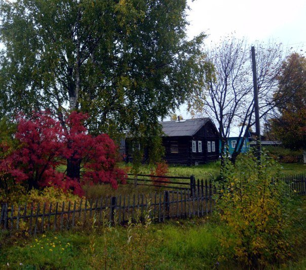 Осень в деревне. - Николай Туркин 