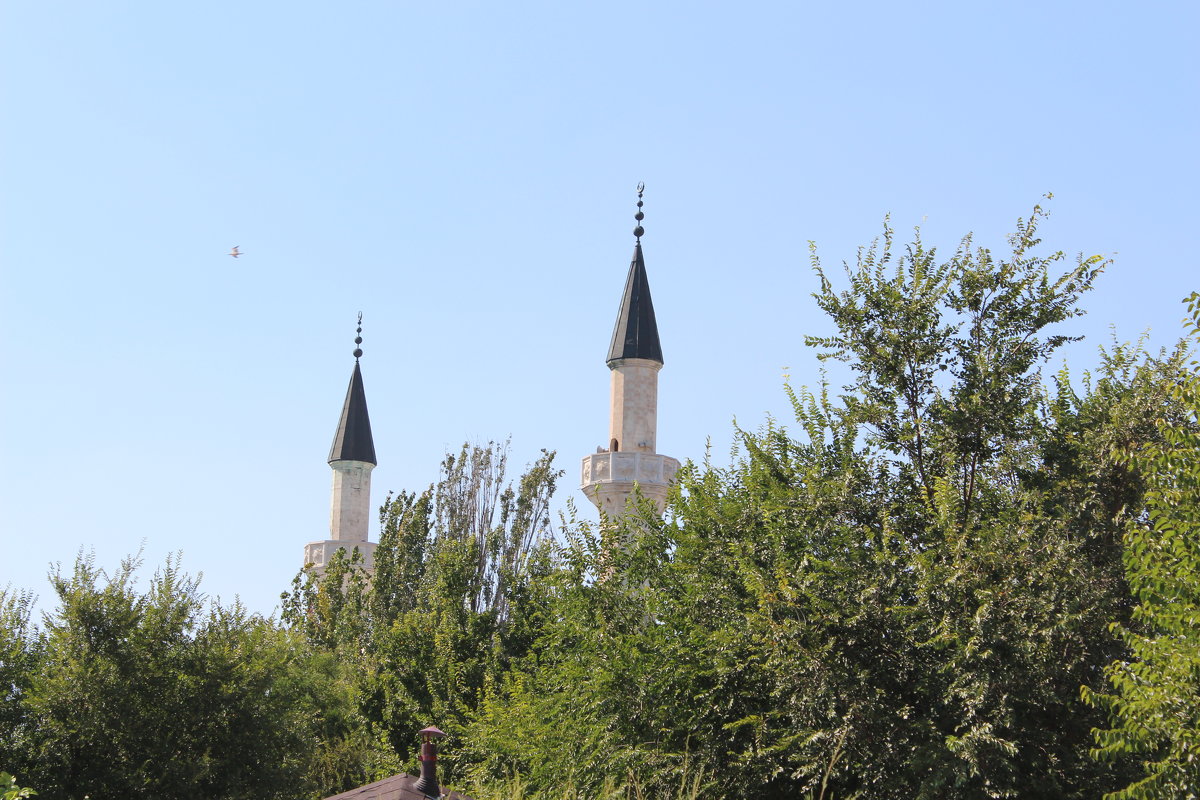 Мечеть Джума-Джами в Евпатории - Lora Svistun