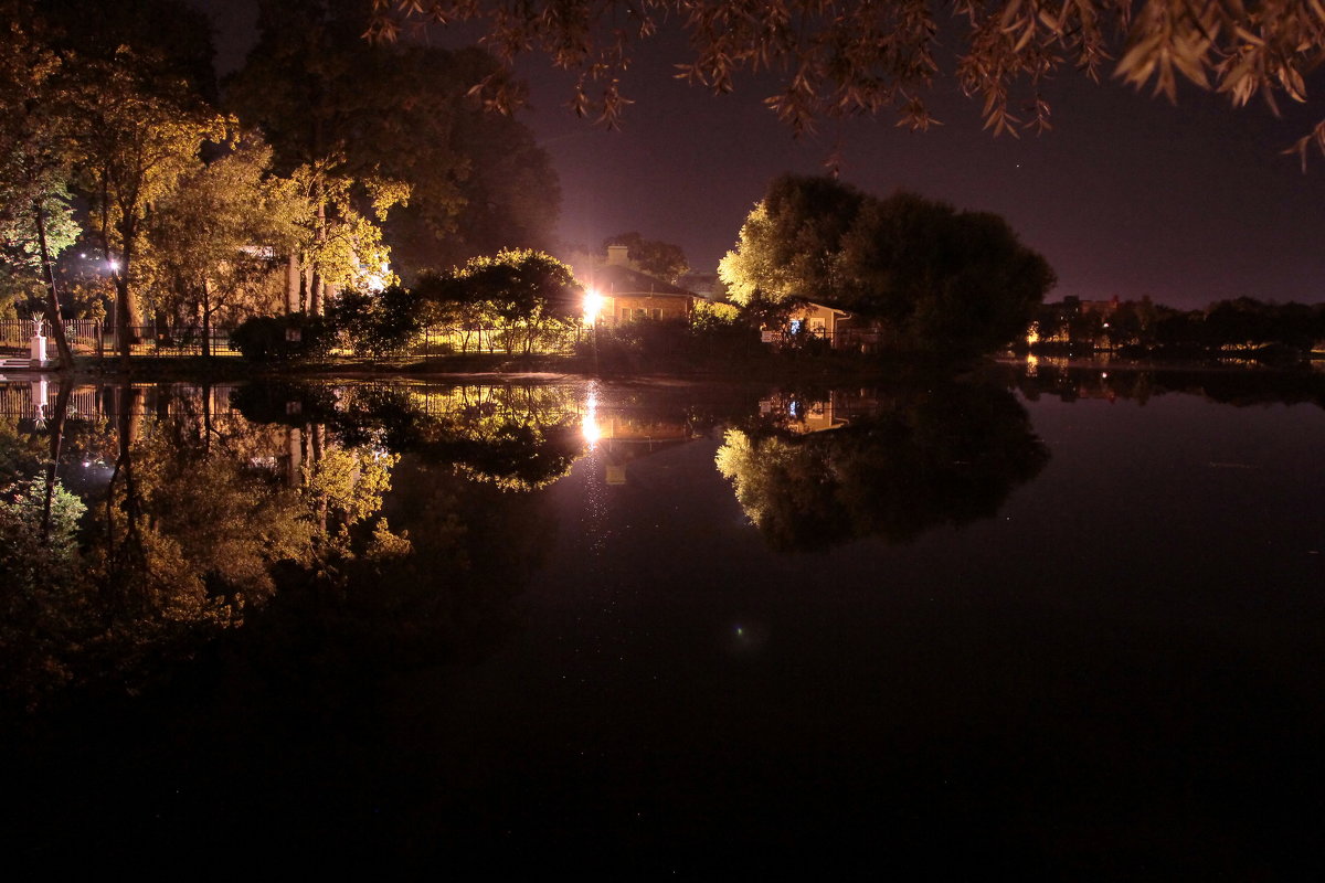 Царский пруд ночью - Виктор Истомин