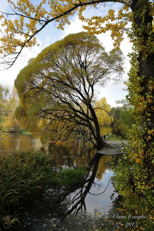 Осень в парке - Наталья Мацкевич
