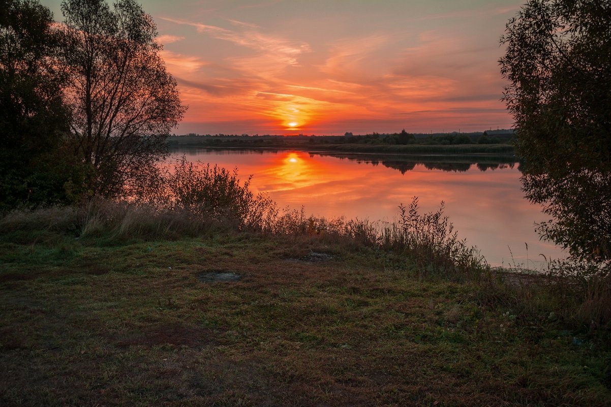 * - Александр Тулупов