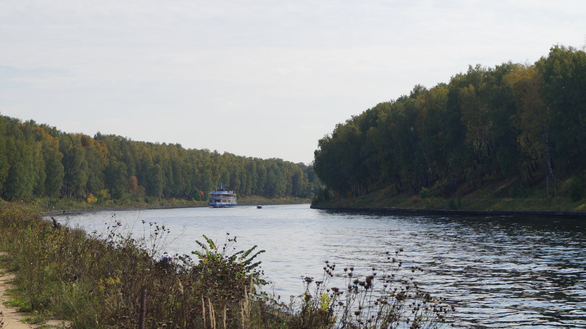 ... - Нина Прокофьева