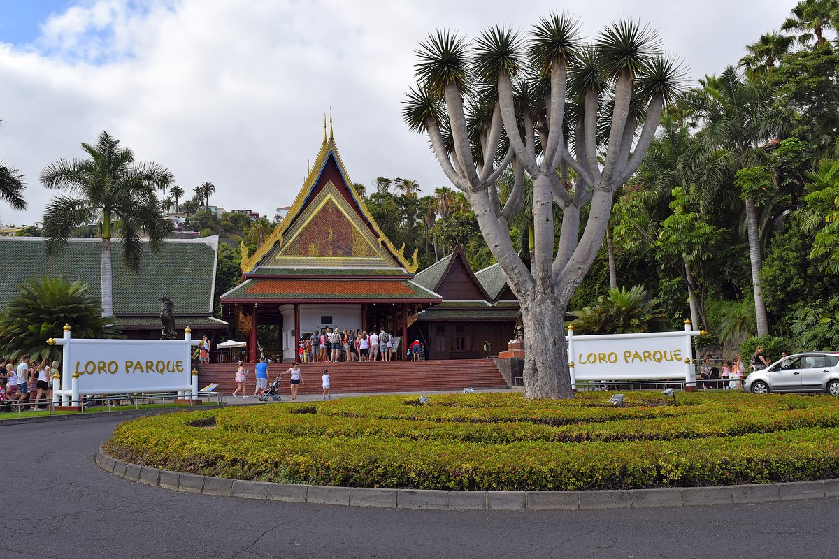 Loro Parque - Zinaida Belaniuk