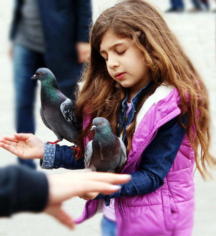 Девочка и голуби - Наталия Рискина