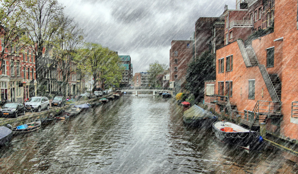 дождь в Амстердаме - Людмила Селегенева