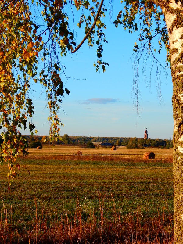 Сельский пейзаж - Наталья 