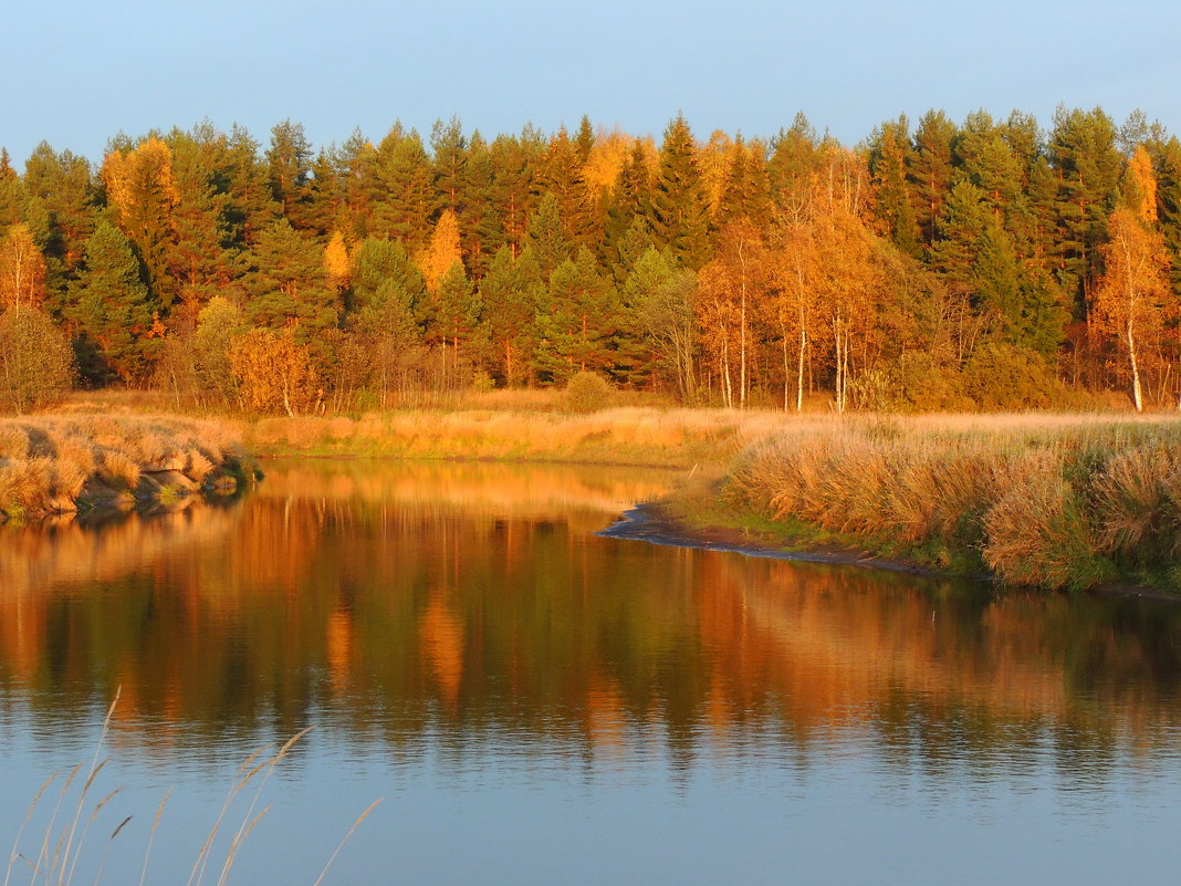 Осень золотая загляделась в зеркало реки - Павлова Татьяна Павлова