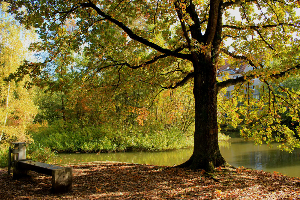 Осенний пейзаж - Elen Dol