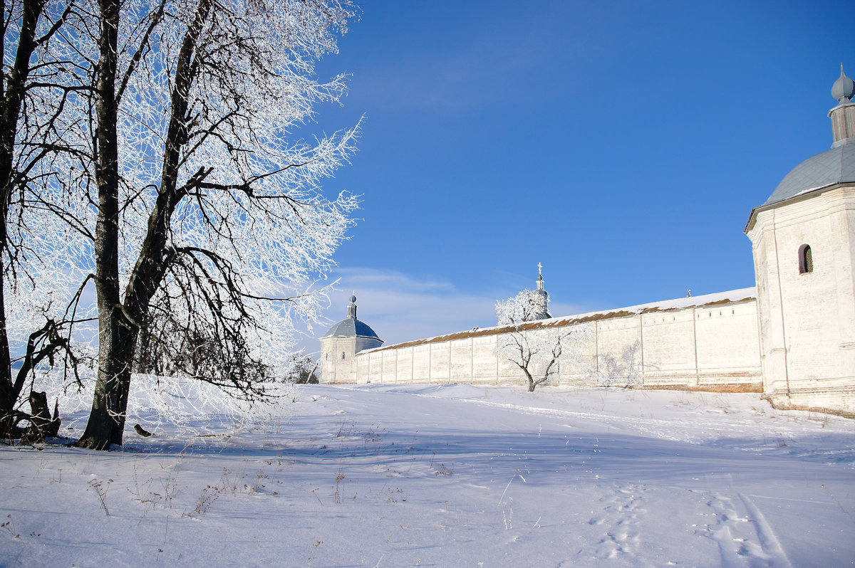 Стена Свенского монастыря - Евгений Дубовцев