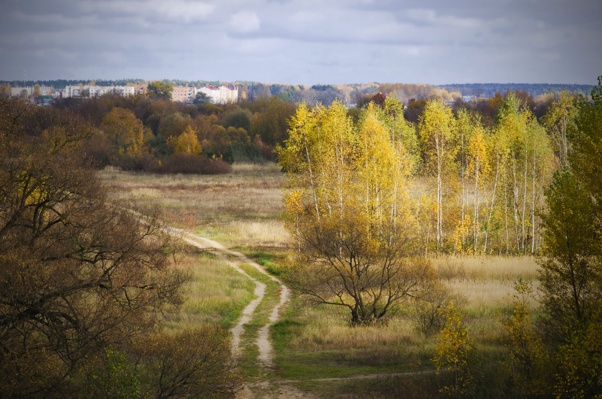 Осенний пейзаж из под Борисова - Владислав Писаревский