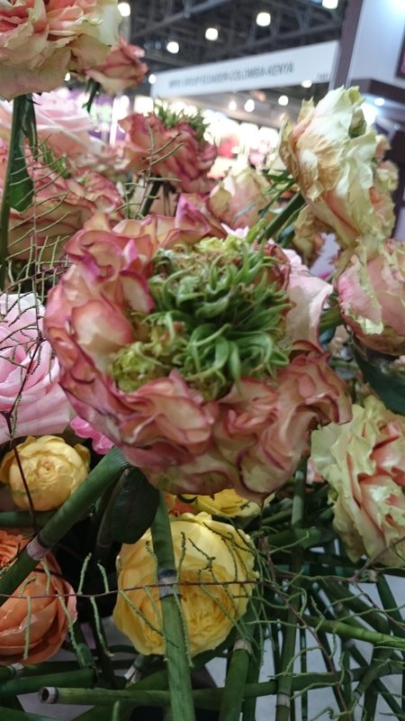 Экзоты - розы на выставке цветов - Galina194701 