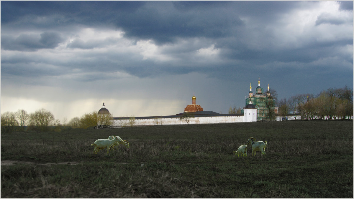 Козы у стен монастыря - Евгений Дубовцев