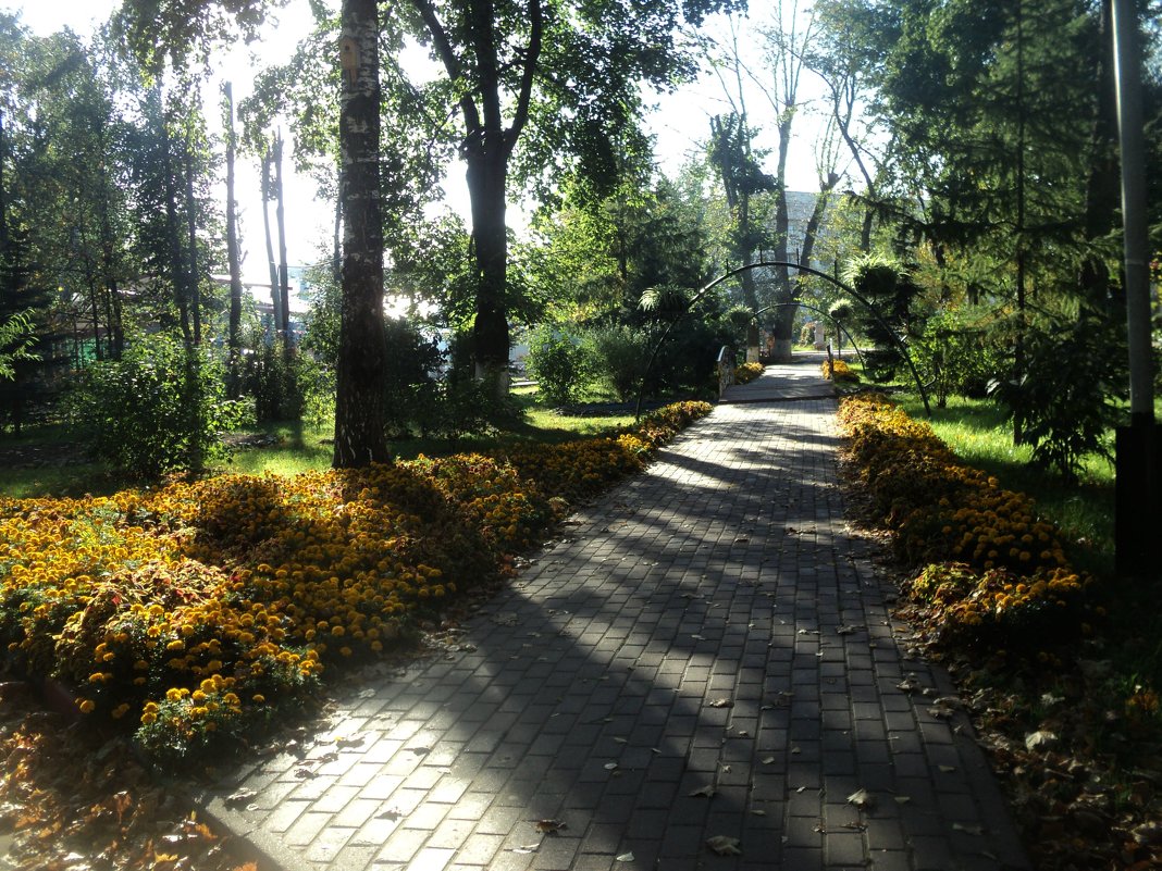 Осенняя аллея в парке - Ольга Кривых