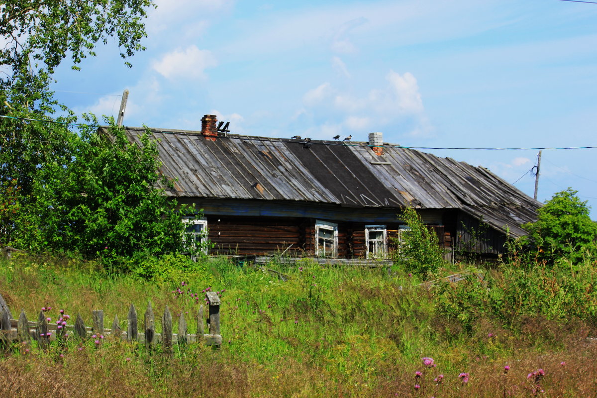 ** - Сергей Кочнев