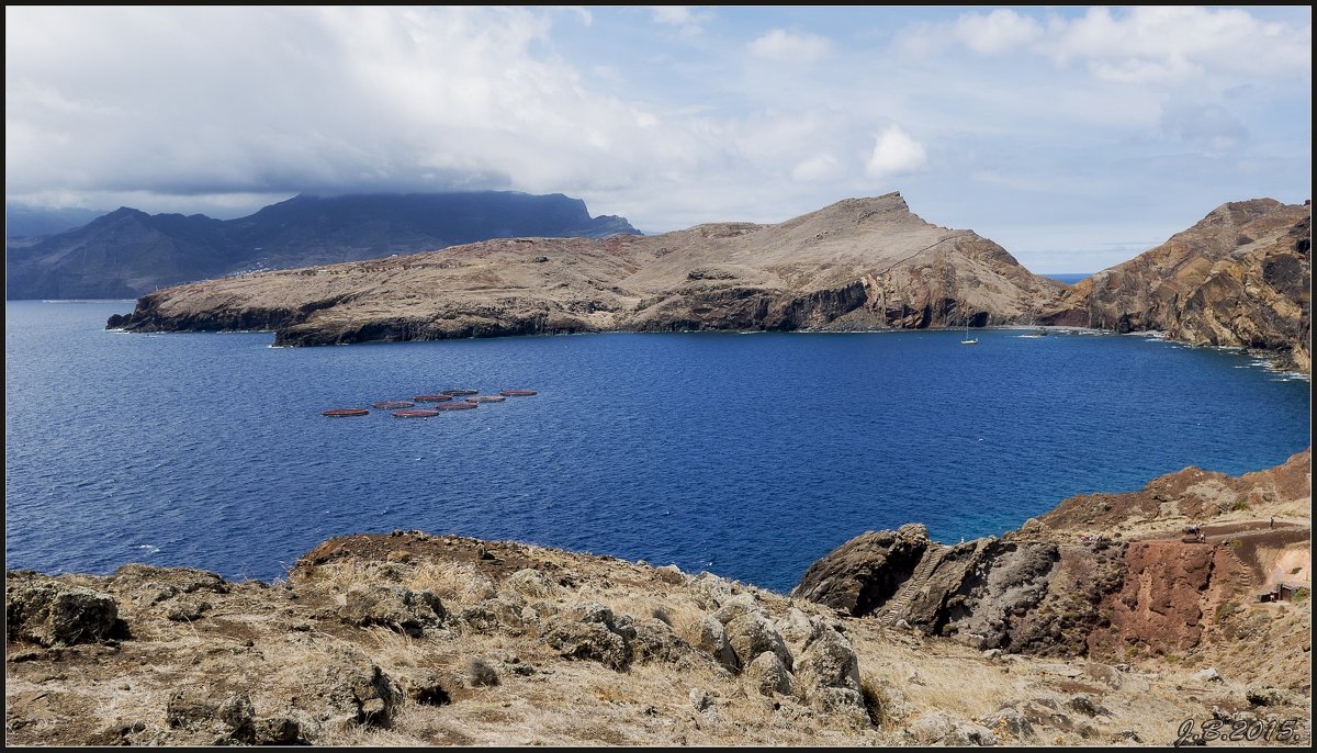 Madeira with love. - Jossif Braschinsky