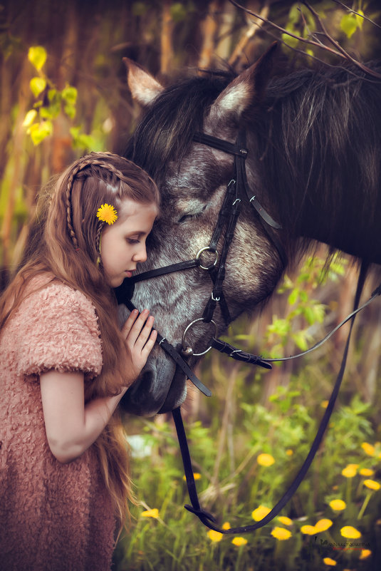 Огромная любовь к лошадям - Анна Коняхина