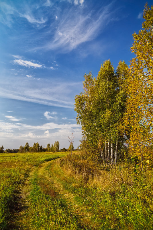 Осеннее небо - Андрей Дворников