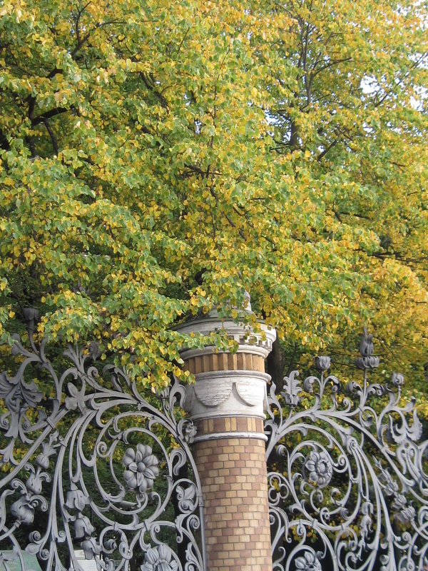 Осень в Михайловском саду - Маера Урусова