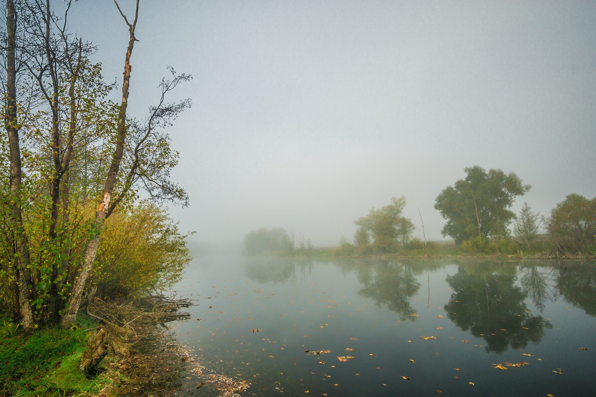 Осенний туман. - Борис Кононов