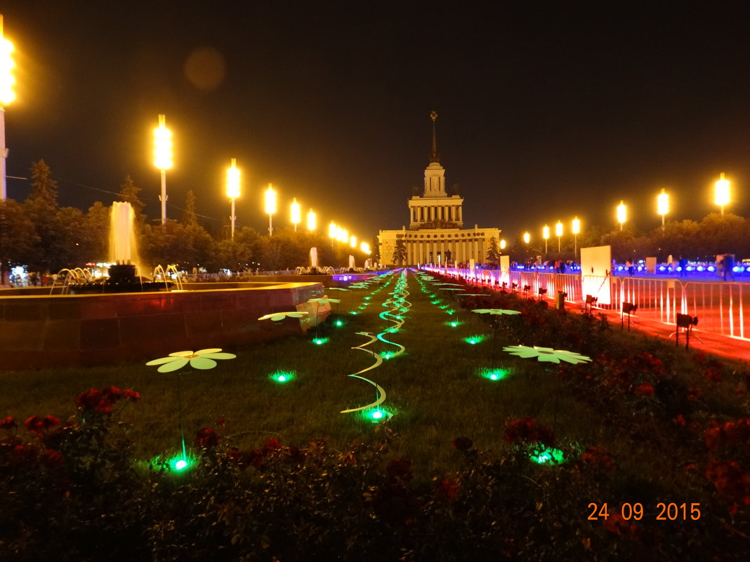 ЦВЕТОЧНАЯ ПОЛЯНА ПОЗДНИМ ВЕЧЕРОМ НЕ СПИТ - СОФИЯ БЕЛКА