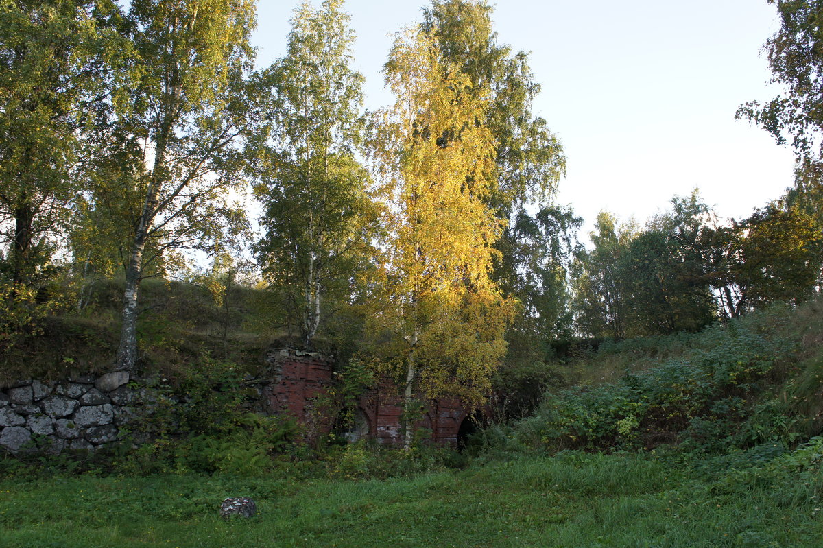 Золотая осень отлично гармонирует с  гранитной крепостью - Елена Павлова (Смолова)