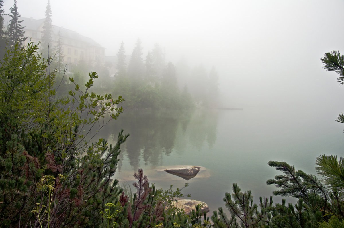 Foggy morning - Roman Ilnytskyi