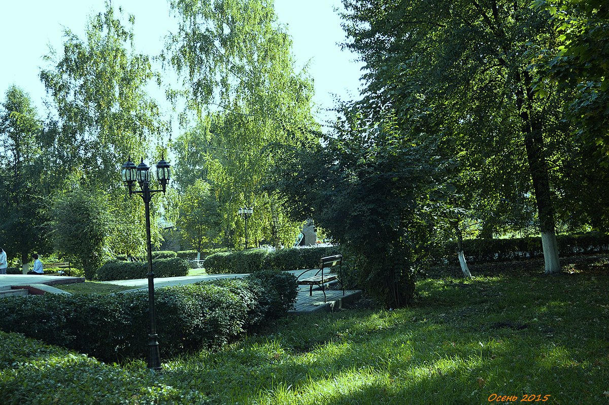 парк - Наталья Бутырская