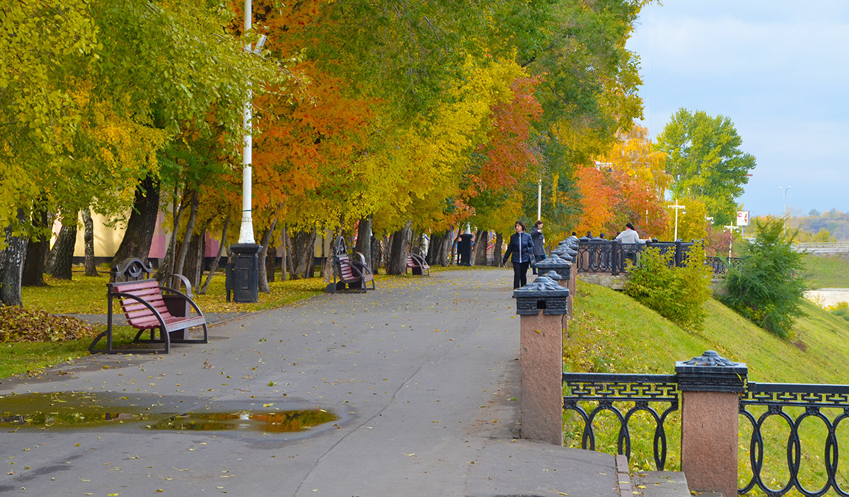 осень в парке - Евгений Фролов