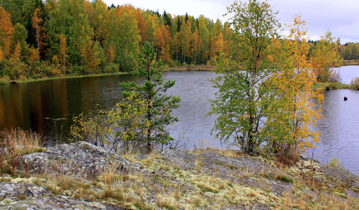 СЕНТЯБРЬ В КАРЕЛИИ - Николай Гренков