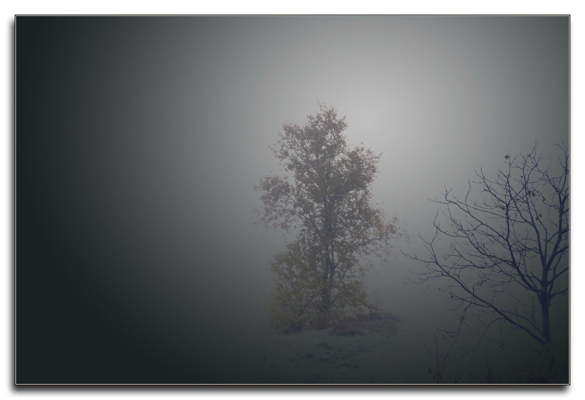 В густом тумане... - Nina Streapan