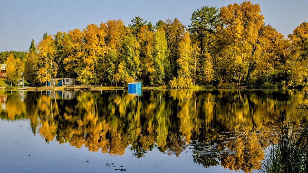 Autumn on the pond - Dmitry Ozersky