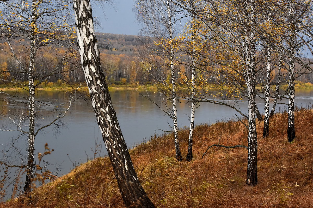 Осень у реки - Нина Штейнбреннер