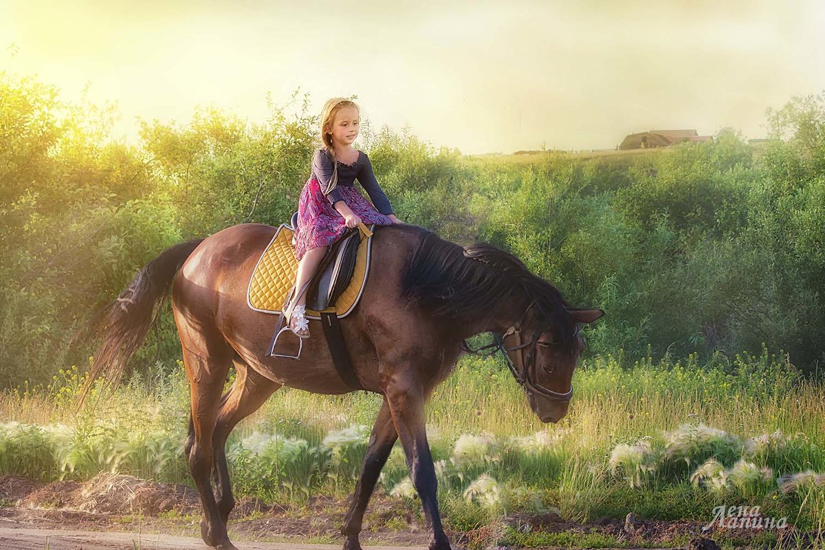 девочка на лошади - Елена Лапина