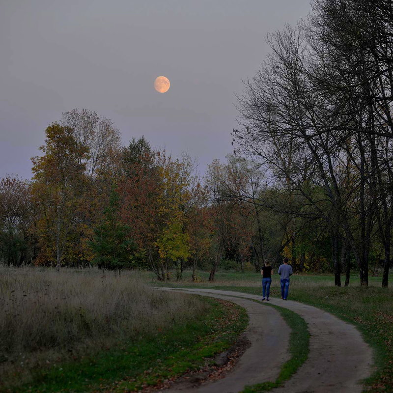 Восход луны - Владимир Безгрешнов