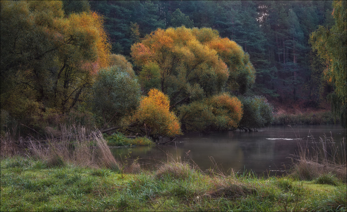Река и осень - Сергей Шабуневич