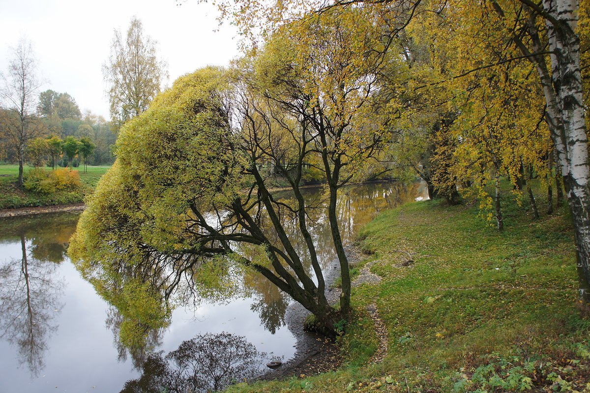 Вид на р. Охта с Большого Ильинского моста - Елена Павлова (Смолова)
