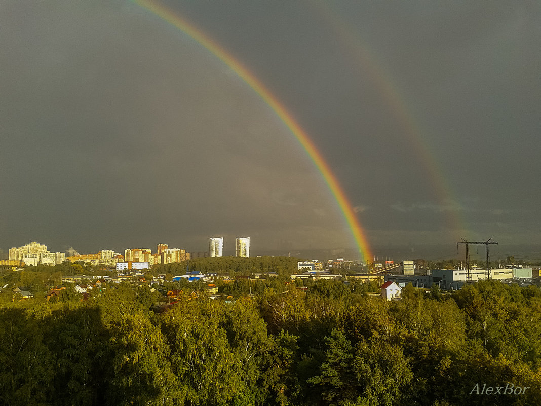 под куполом счастья... - Алексей Бортновский