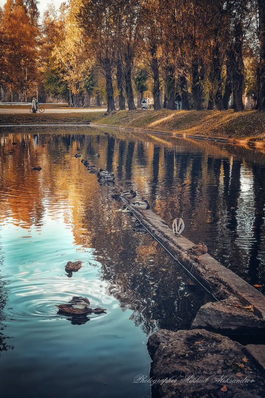 Прогулка в парке - Михаил Александров