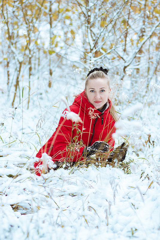 Первый снег - Елена Семёнова