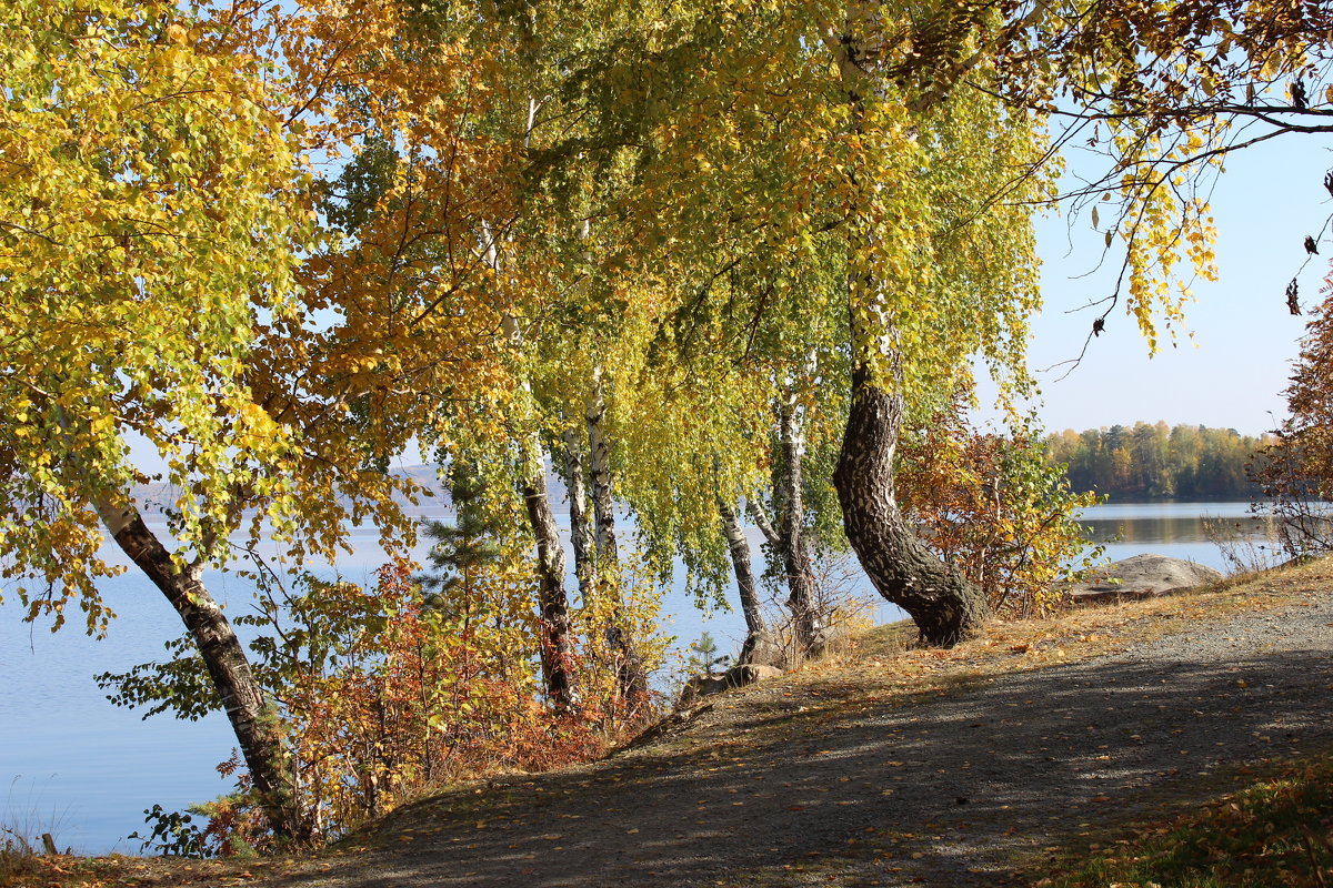 Осень на озере - Тыртышных Светлана 