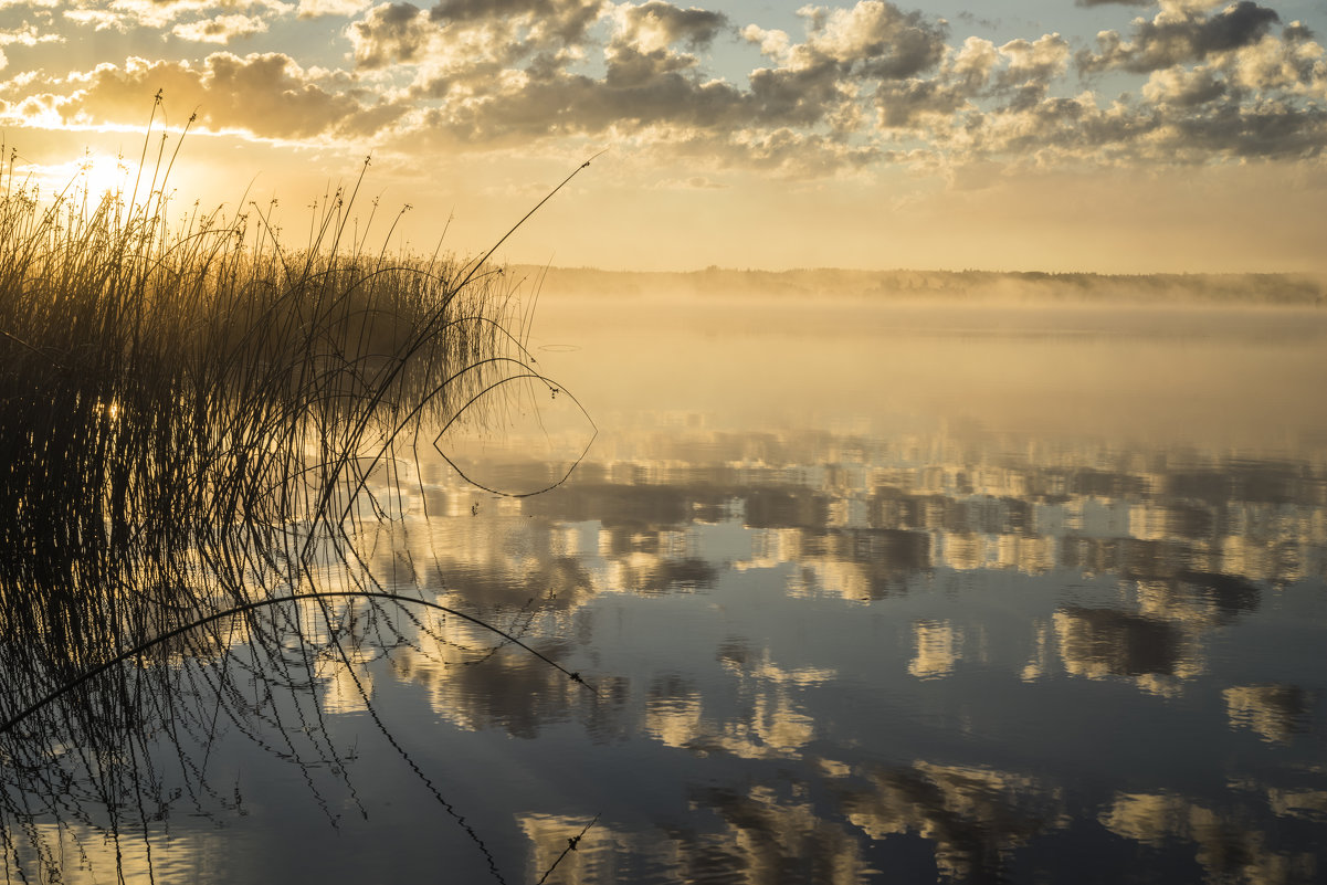 Утро на озере - Александр Глазков