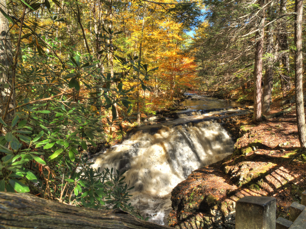 Bushkill Falls, Pensilvania - Vadim Raskin