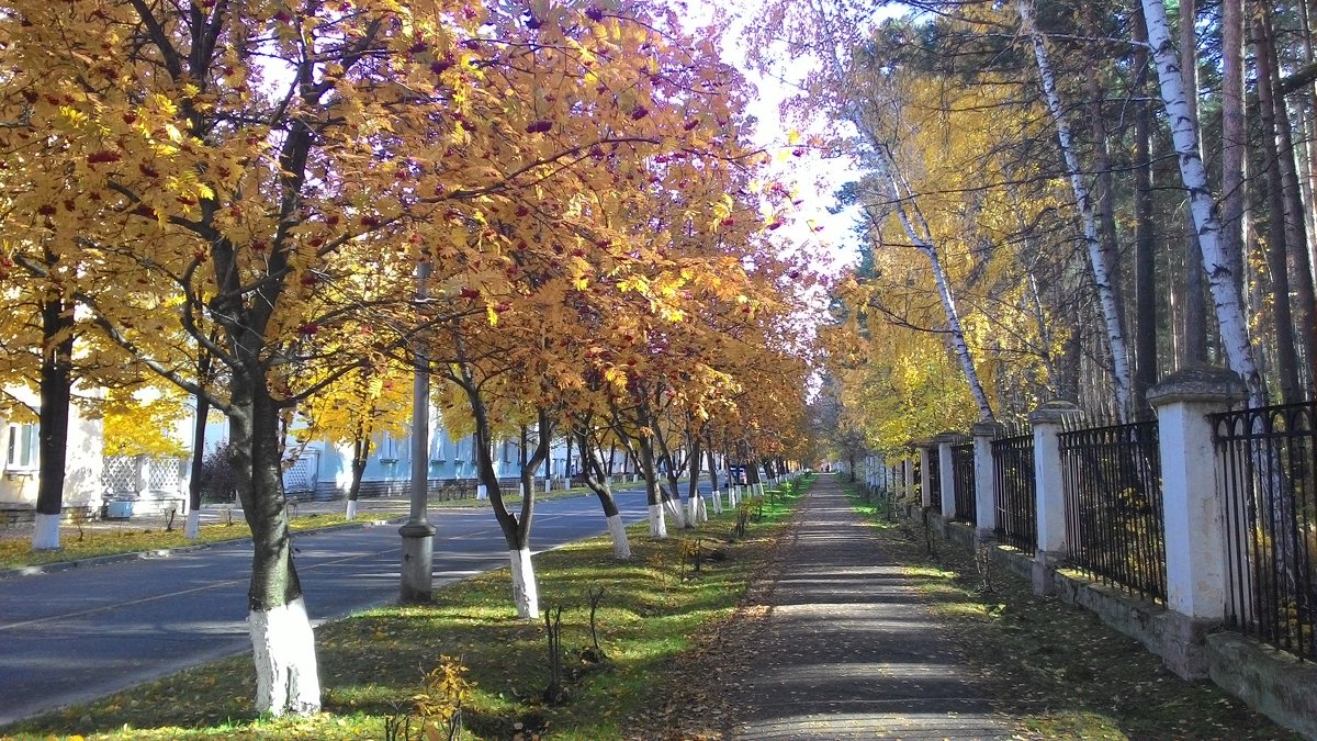 Осень в маленьком городке - Владимир Звягин