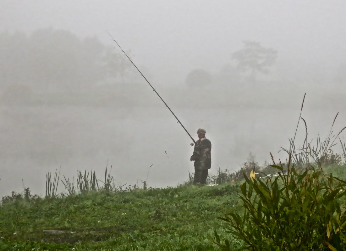 рыбак туманным утром - Елена 