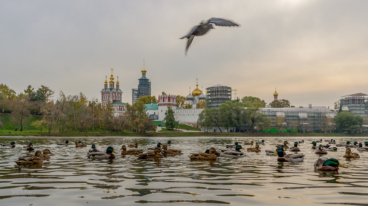 *** - Игорь В. Капустин