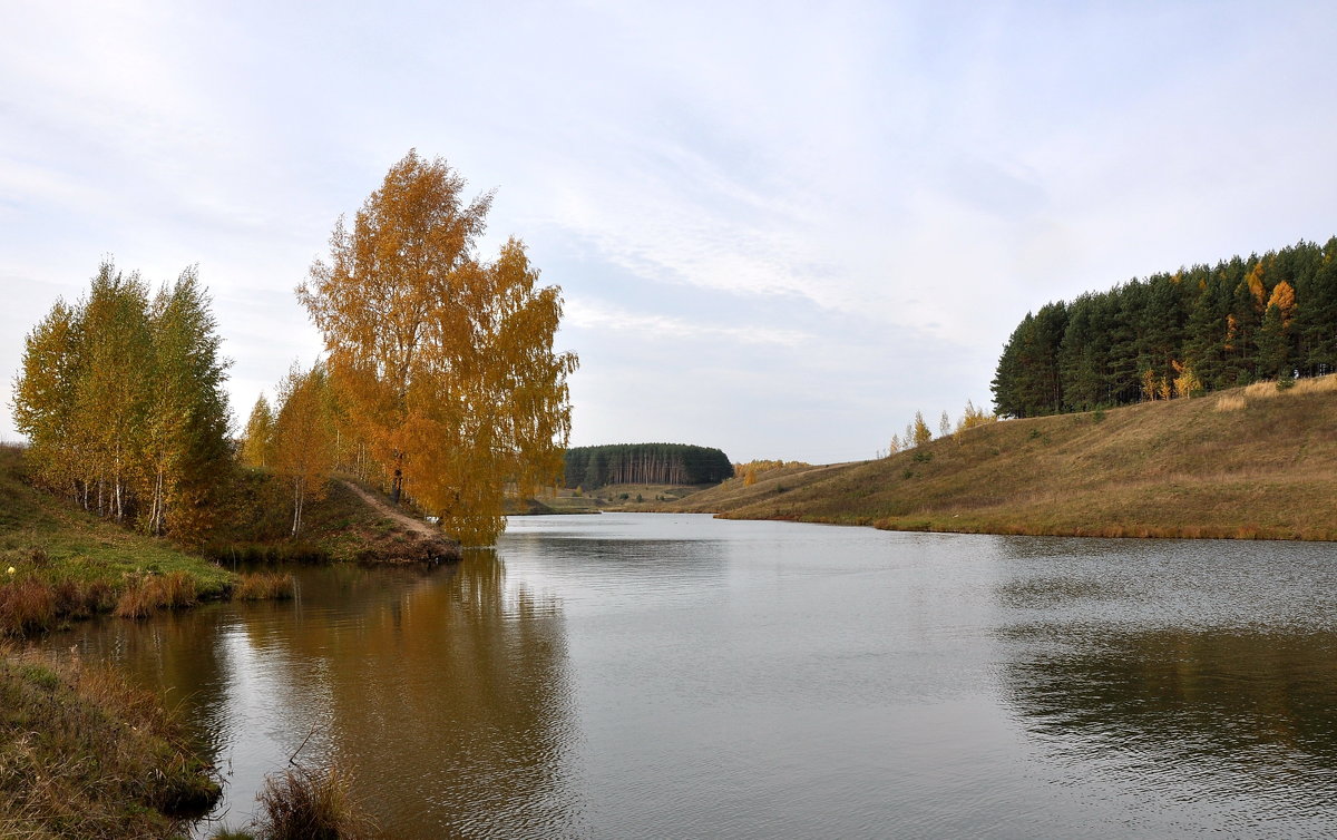 У воды - Алексей .