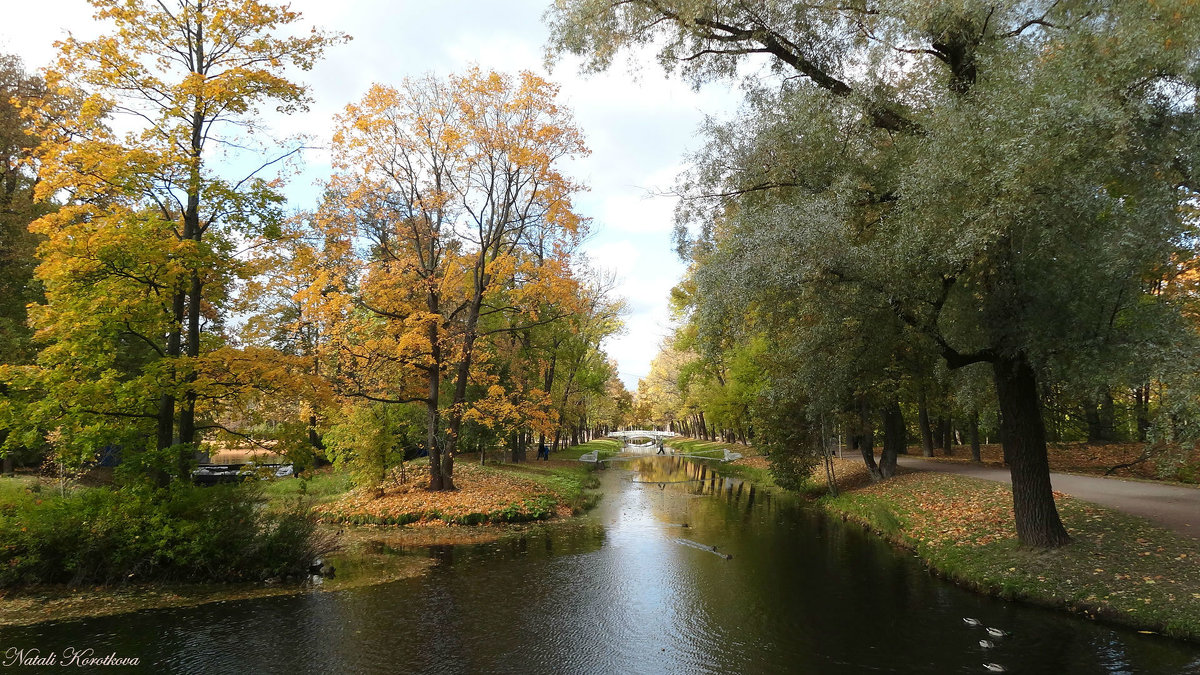 *** - Наталия Короткова