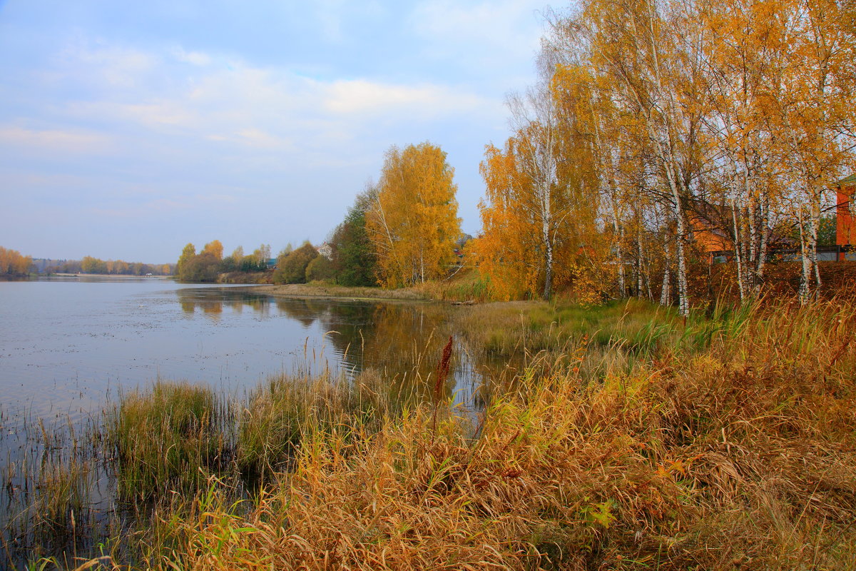 осень - сергей 